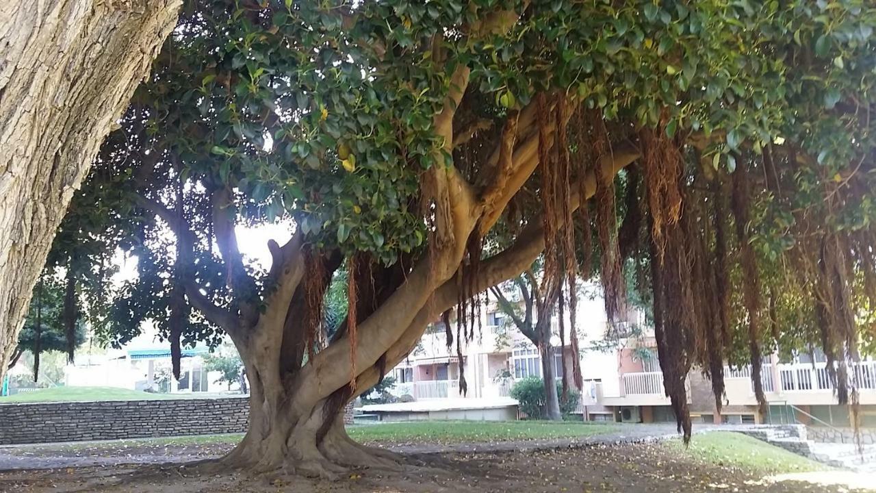 Benalmadena Aguila Apartment Sea View Εξωτερικό φωτογραφία